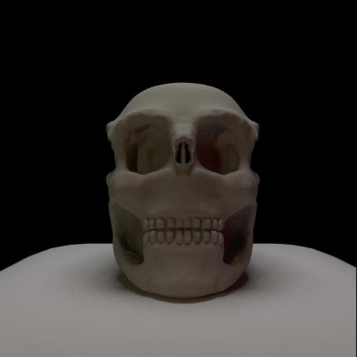 Humanoid Skull Basemesh preview image